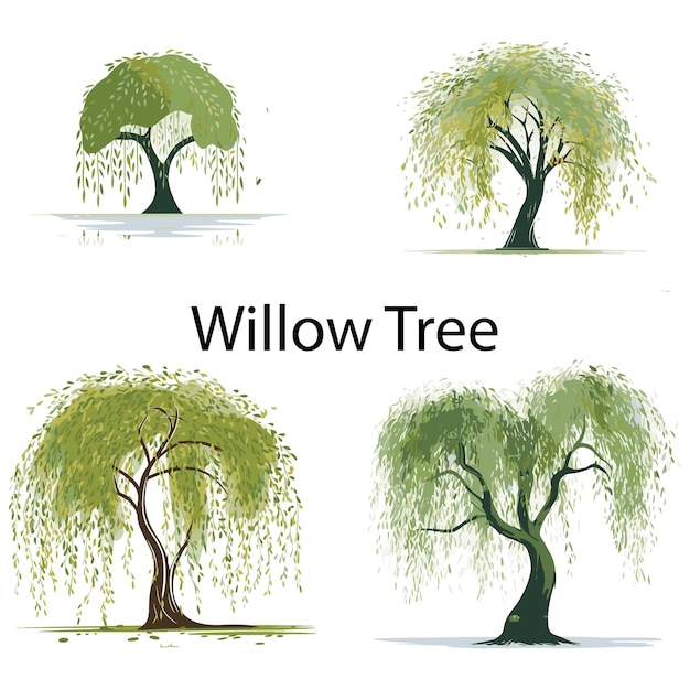 A set of Willow tree vector illustration