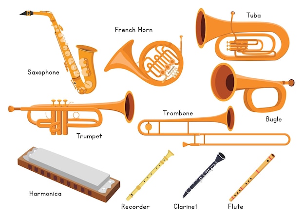 Set of wind musical instruments vector design. Saxophone, trumpet, French horn, trombone clipart