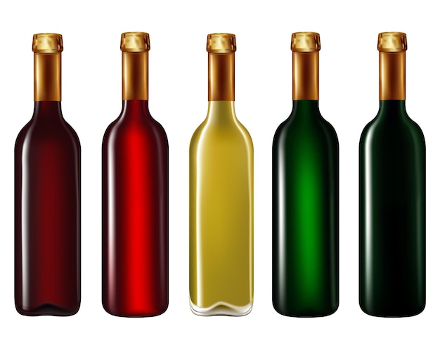 Set of wine bottles isolated on white backgroundVector illustration