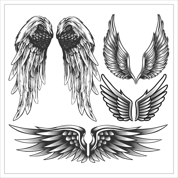 SET WINGS VECTOR GRAPHIC