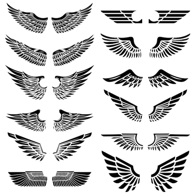 Set of the wings  on white background.  elements for logo, label, emblem, sign, badge.  illustration