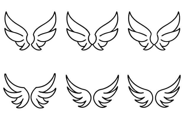 a set of wings with wings drawn on them