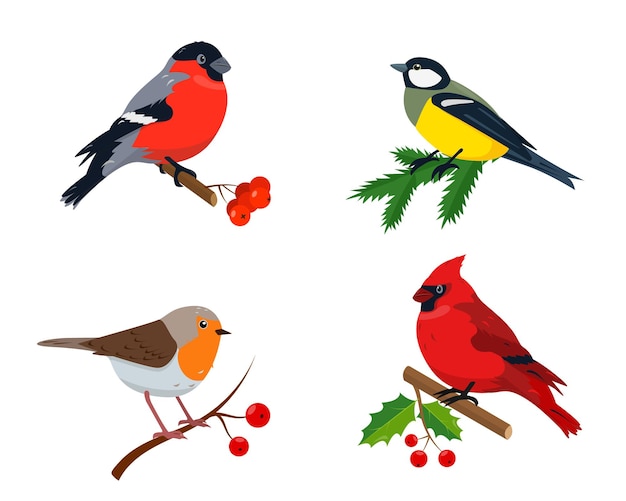 Set of winter birds for Christmas and New Years design