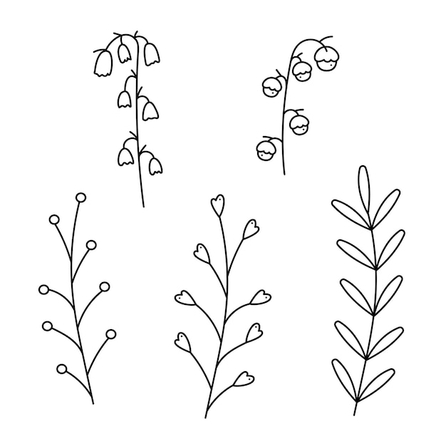 Set with 5 branches doodle abstract Hand drawn outline vector illustration