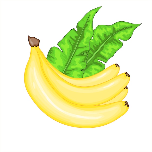 Set with bananas and banana leaves. Summer cartoon collection in vector.