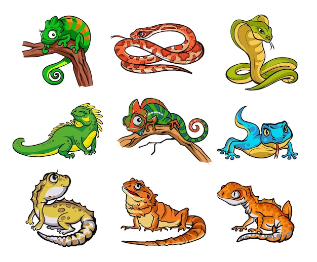 Set with beautiful different cartoon reptiles,snakesand lizards. Collection with reptiles,snakes hand drawn illustration. Design for wallpapers, packaging, postcards and posters. Wild nature.Isolated