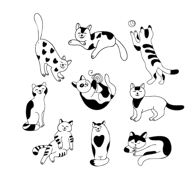 Set with cute cats in different poses and tempers