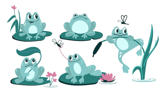 A set with funny frogs in different poses on a white background Cartoonstyle illustration vector