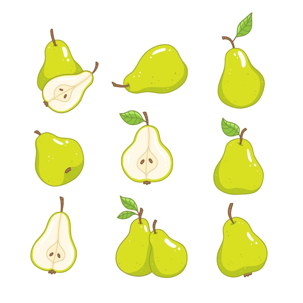 Set with green pears in cartoon style A whole pear a slice of pear Vector isolated food illustration