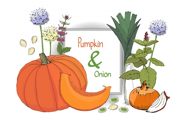  set with pumpkin and onion. Orange pumpkin and fresh onion.