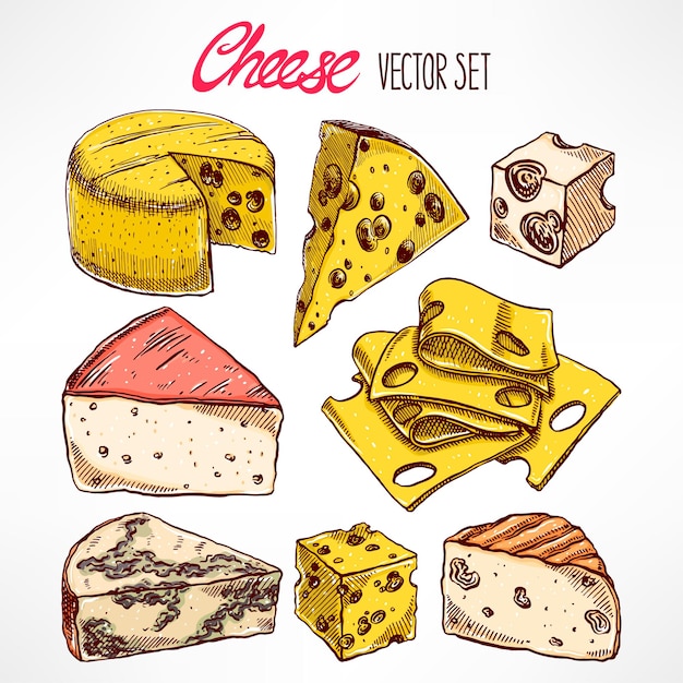 Vector set with various hand-drawn cheeses. hand-drawn illustration