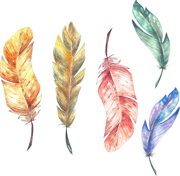 Set with watercolor feathers