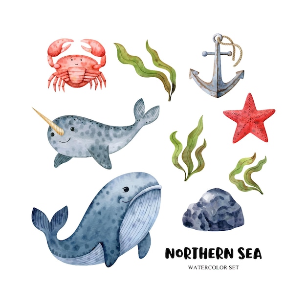 Set with watercolor whale narwhal crab seaweeds starfish and rusty anchor Vector illustration