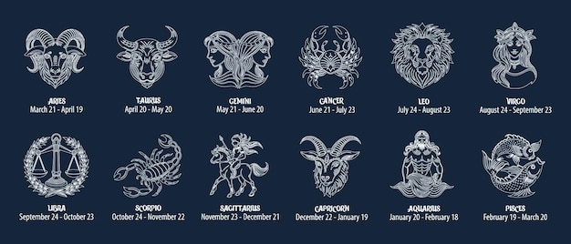 Set of zodiac signs astrological horoscope signs Contour white drawings on a blue background