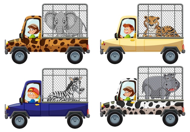 Set of zoo staff transport animal