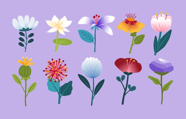 Sets of Beautiful Flowers in Spring Side View Flat Design Doodle Vector Illustration