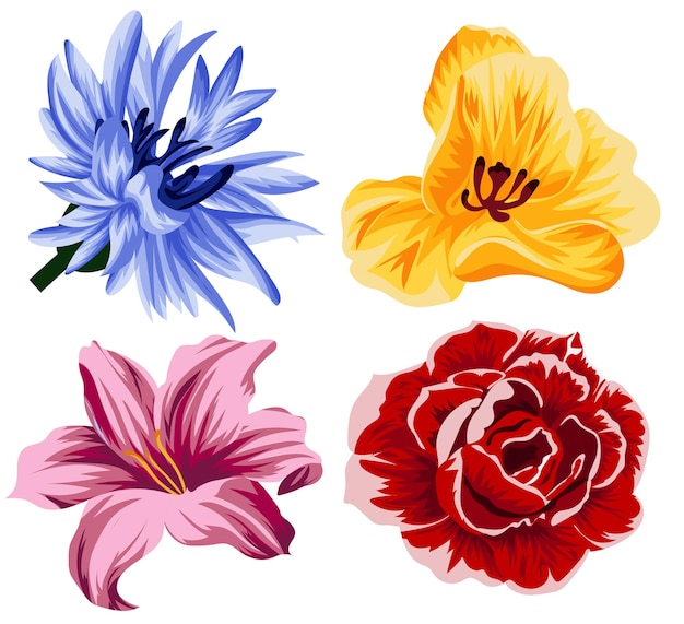 sets of various flowers namely yellow tulip blue cornflower pink lily and red rose