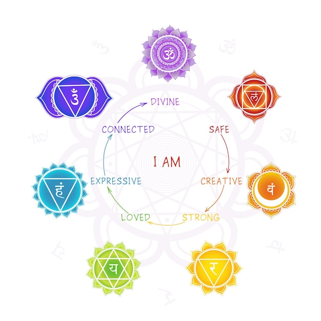 Vector seven chakras meaning poster with mandala symbols on white background