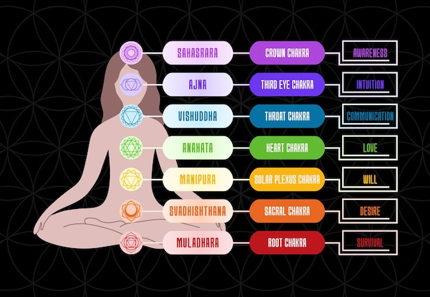 Vector seven chakras with names and meaning for yoga practice and meditation vector illustration guide