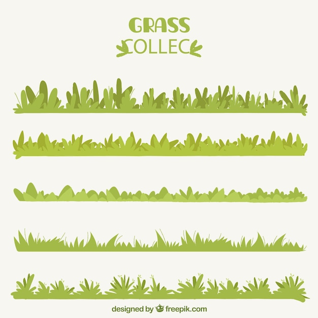 Several decorative grass borders in flat design