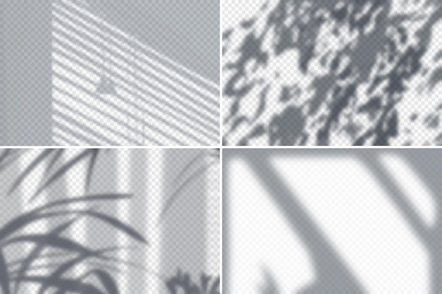 Shadow of foliage and blinds on white wall realistic set isolated illustration