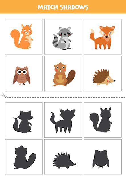 Shadow matching cards for preschool kids. Cute woodland animals.