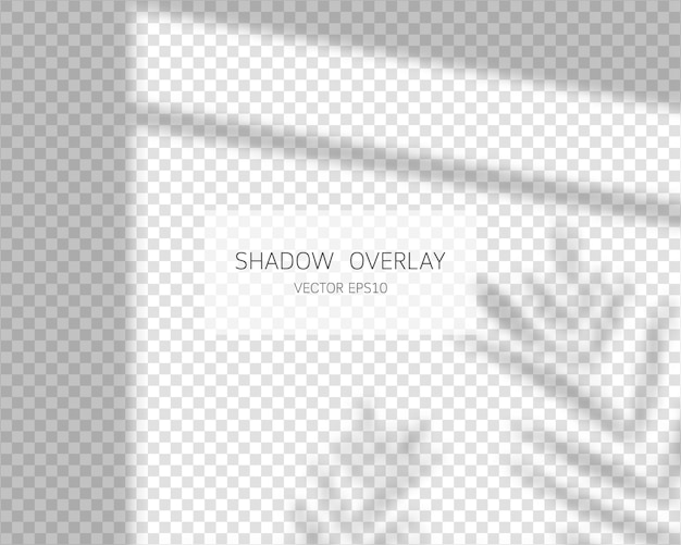 Shadow overlay effect. Leaves shadows. Natural shadows from window isolated     illustration.