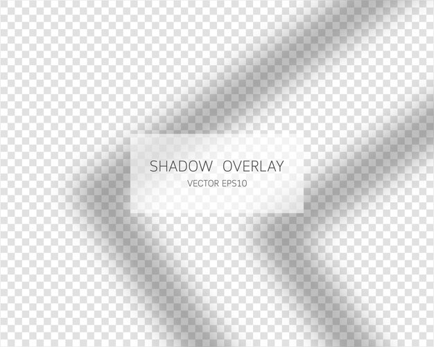 Shadow overlay effect Natural shadows from window isolated 