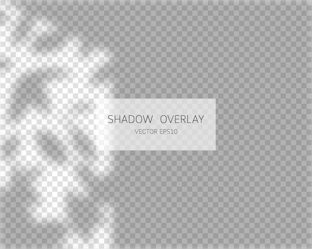 Vector shadow overlay effect. natural shadows from window isolated