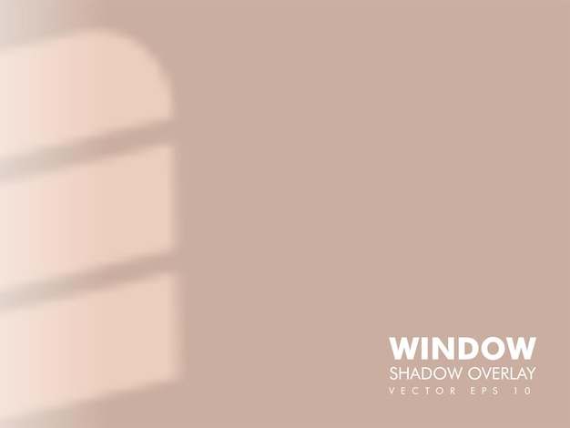 Shadow overlay of window vector design