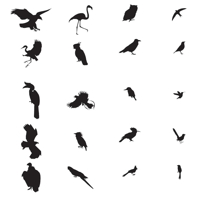 shadows of different types of birds