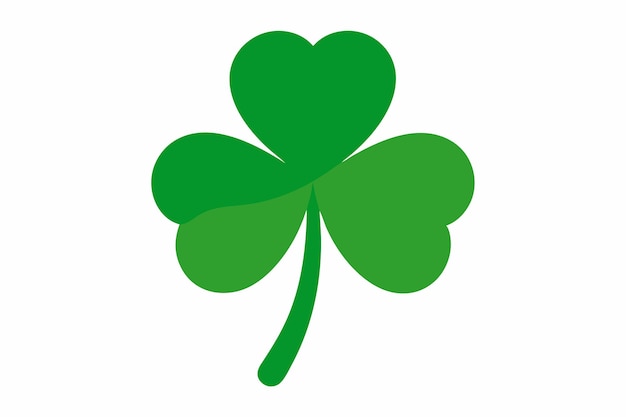 Vector shamrock on white background