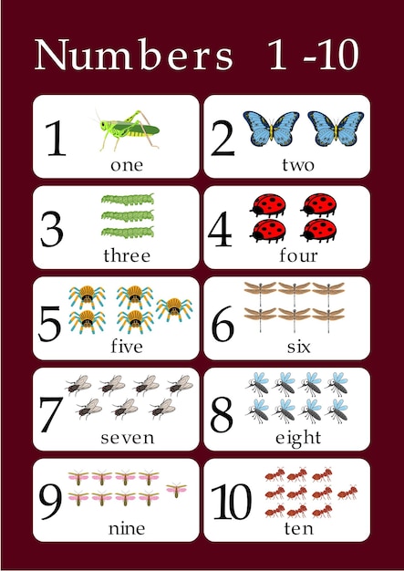 Shape, count number, maths, dimesional shapes, mutiplcation table