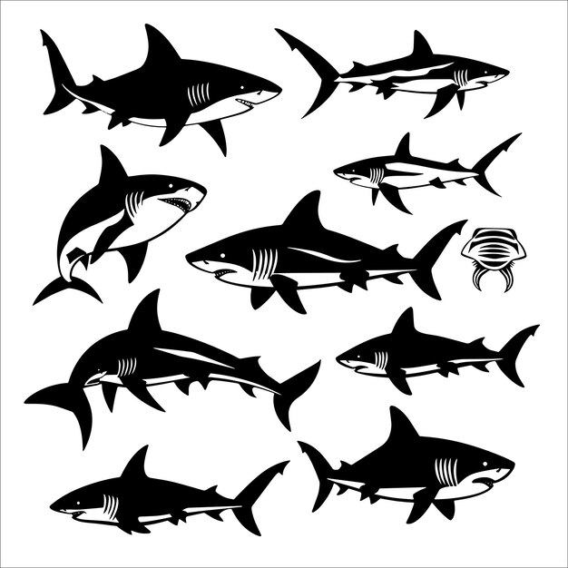 Vector shark black and white silhouette vector illustration set