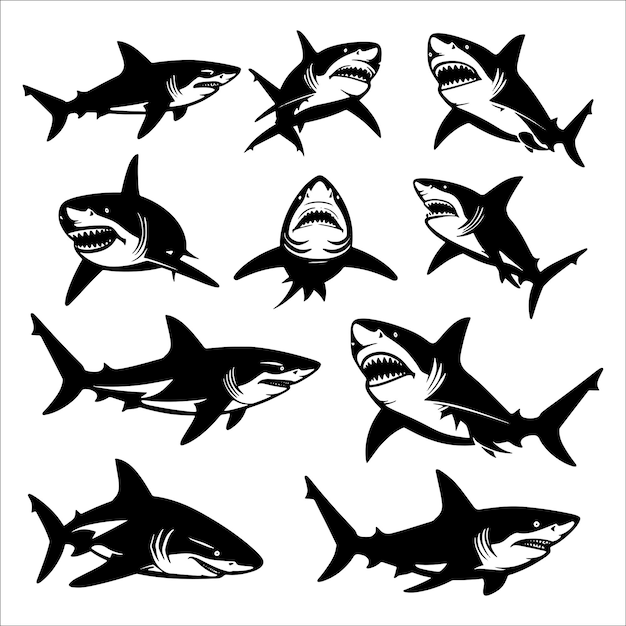 Vector shark black and white silhouette vector illustration set