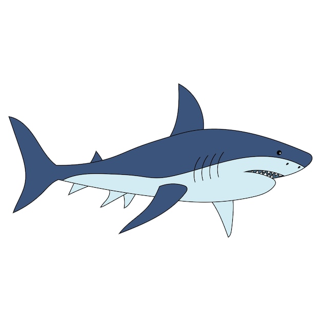 Shark Clipart Aquatic Animals and Sea Animals Clipart