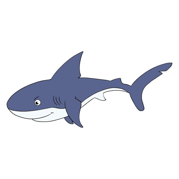 Shark isolated on white background