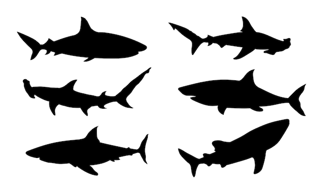 Vector shark silhouette vector illustration martil shark silhouette whale shark symbol