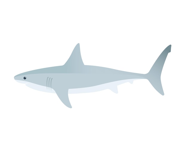 Shark vector isolated icon. Emoji illustration. Shark vector emoticon