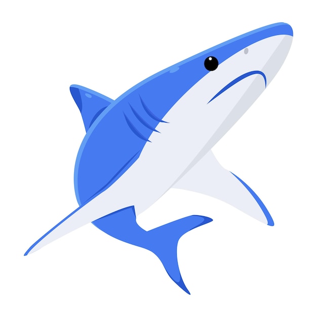 A shark on a white background