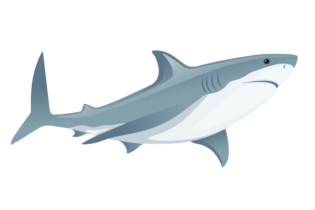 Shark with mouth closed giant apex predator cartoon animal design flat vector illustration