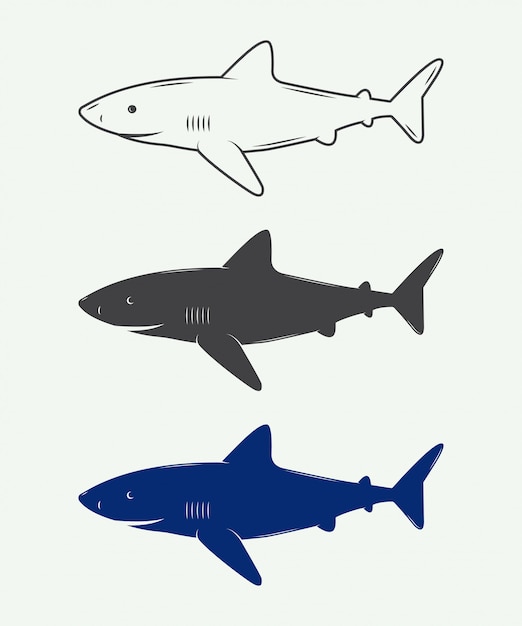 sharks for logos