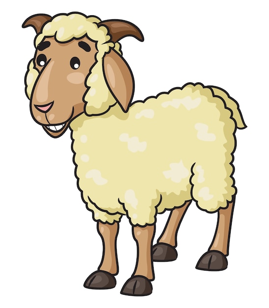 Sheep Cartoon illustration