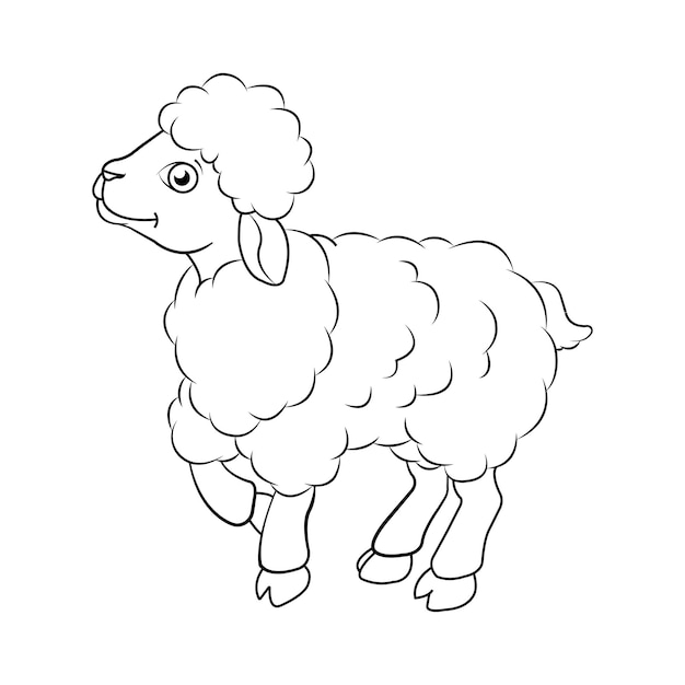 Sheep coloring page