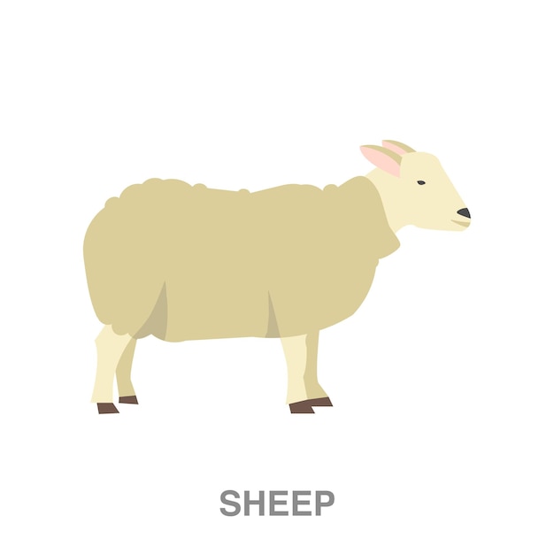 sheep illustration on transparent background