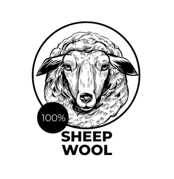 Sheep illustration Vector hand drawn sketch Wool