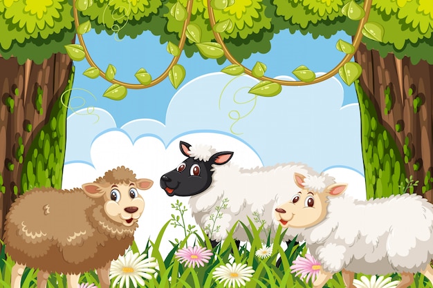 Sheeps in woods scene