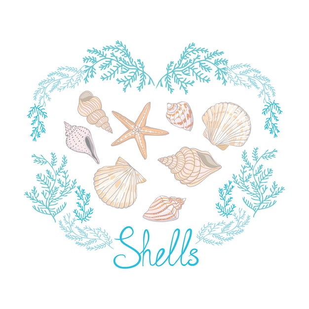 shell yeah vector illustration with seashell and lettering.