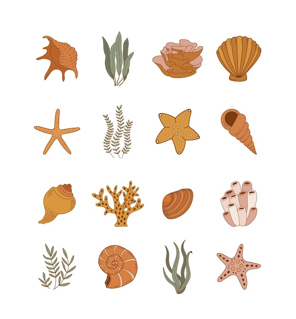 Shells sea plants and starfish isolated on white background Coral reef vector illustration Collection of clam mollusc linear icons Ocean life in flat style