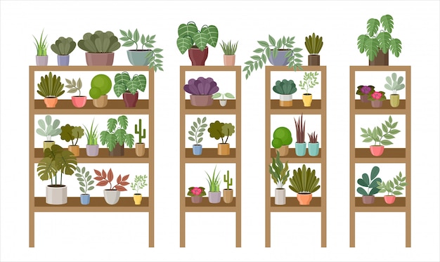 Shelves and racks with home plants and flowers. 